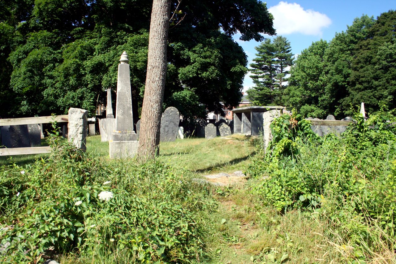 An old New England burying ground of slate headstones